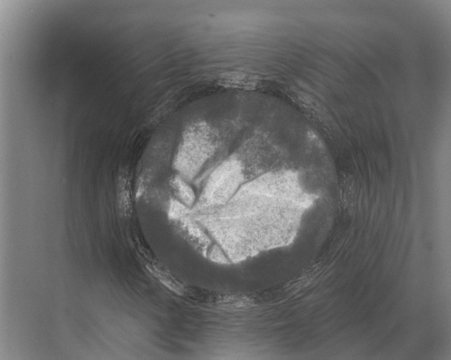 X0000071961154200608041612