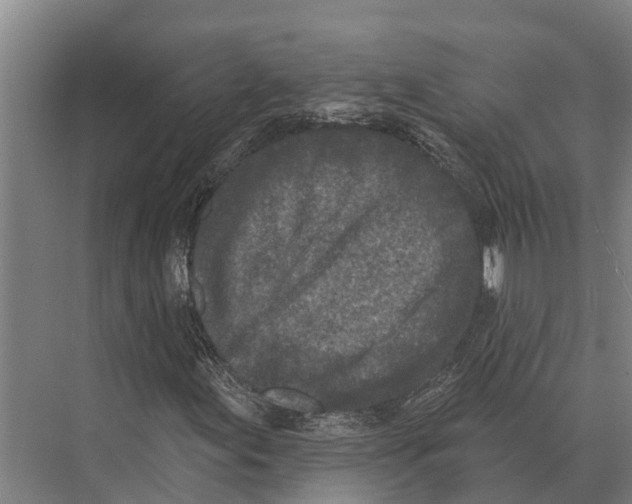 X0000071961155200608041612