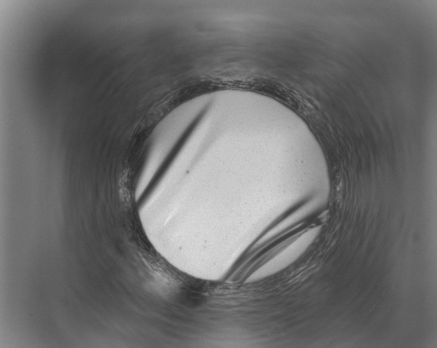 X0000071961156200608041612