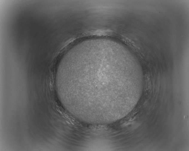 X0000071961158200608041612