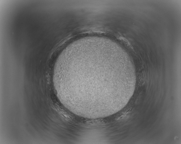 X0000071961159200608041612