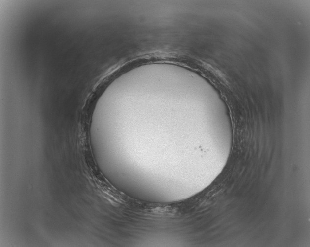 X0000071961160200608041612