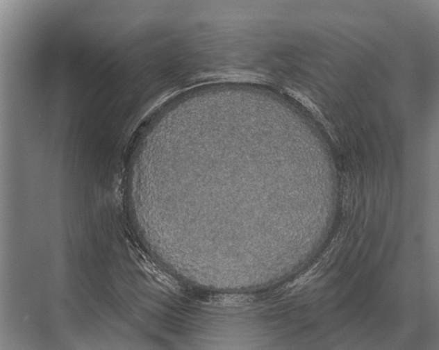 X0000071961163200608041611