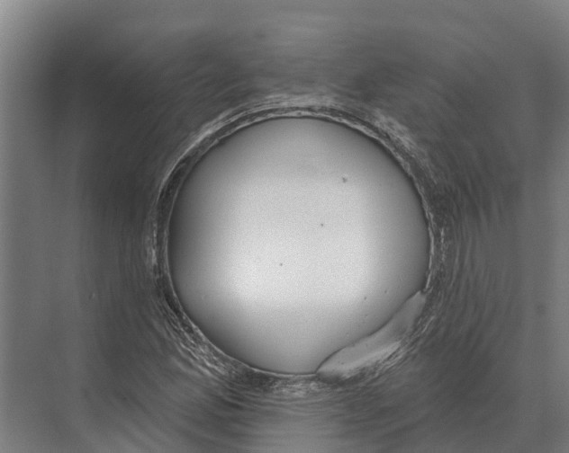 X0000071961165200608041611