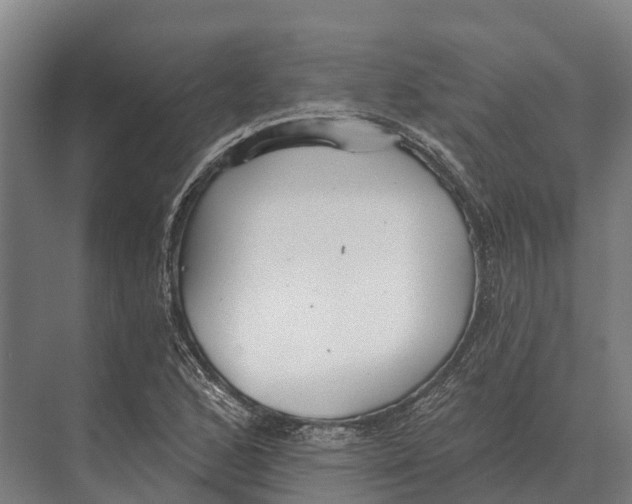 X0000071961168200608041611