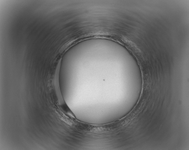 X0000071961169200608041611