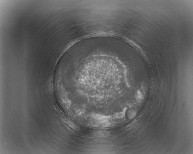 X0000071961170200608041611