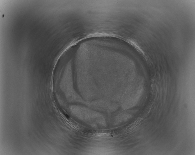 X0000071961173200608041611