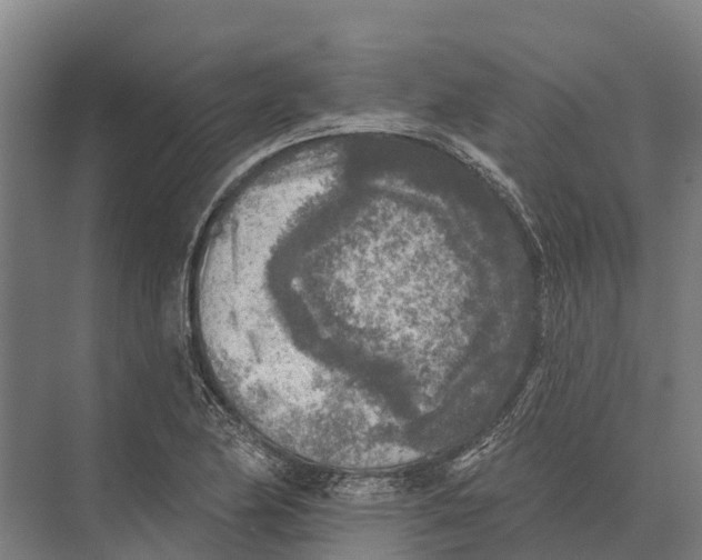 X0000071961174200608041611