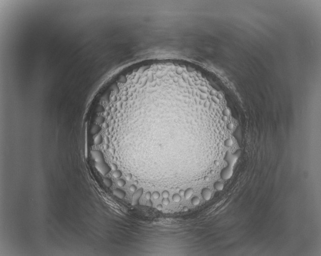 X0000071961175200608041611