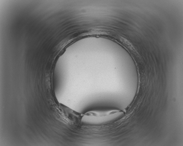 X0000071961177200608041611