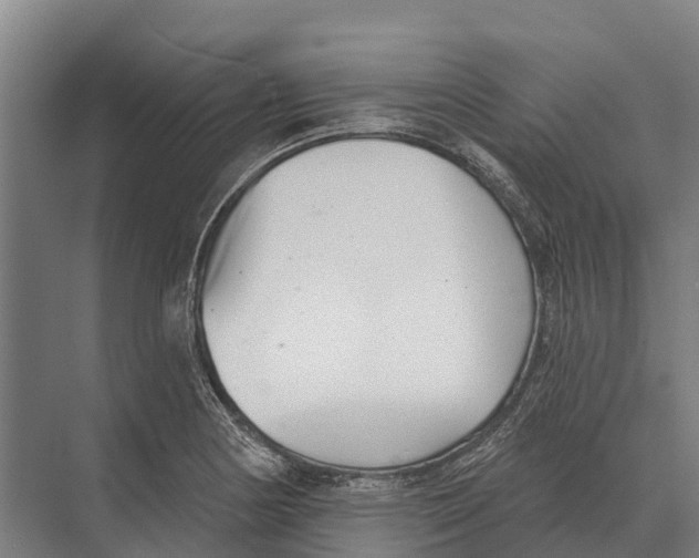 X0000071961178200608041611