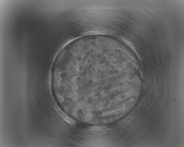 X0000071961179200608041611