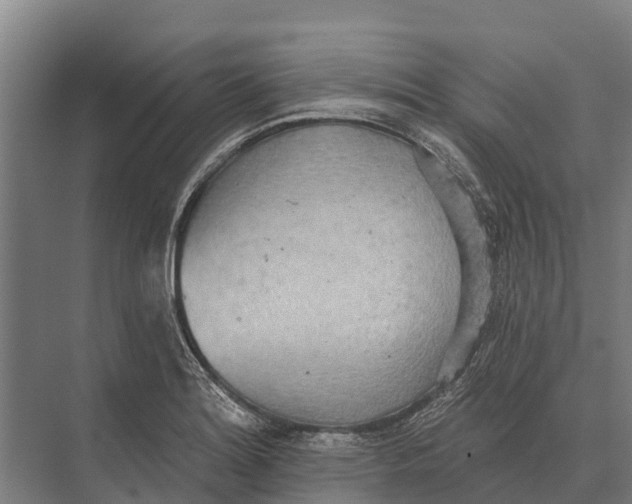 X0000071961180200608041611