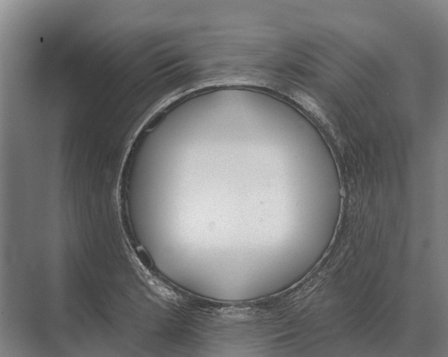 X0000071961181200608041611