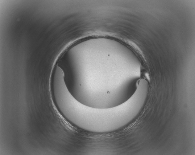 X0000071961183200608041611