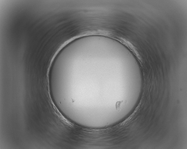 X0000071961184200608041611