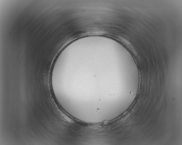 X0000071961186200608041611