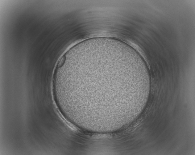 X0000071961187200608041611