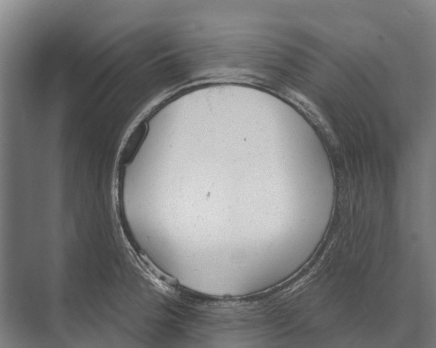 X0000071961188200608041611