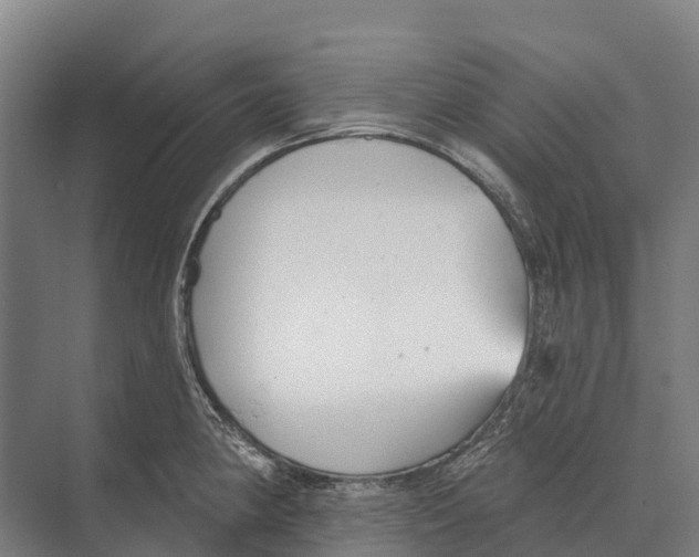 X0000071961190200608041611