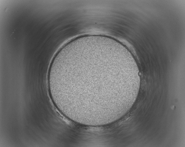 X0000071961191200608041611