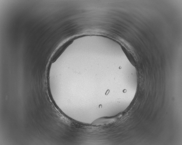 X0000071961192200608041611