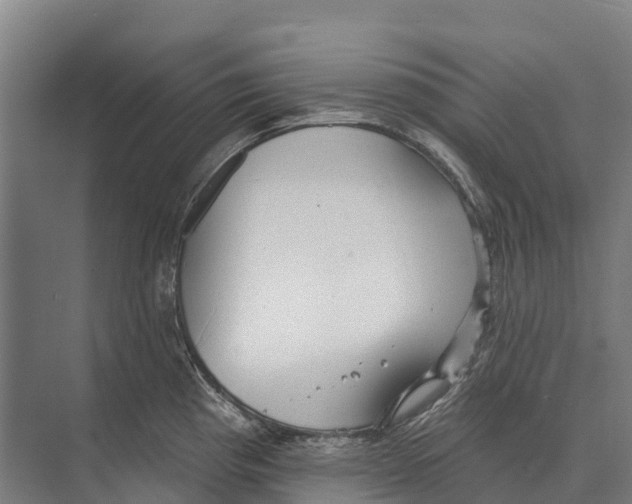 X0000071961193200608041611