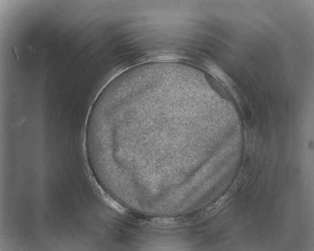 X0000071961194200608041611