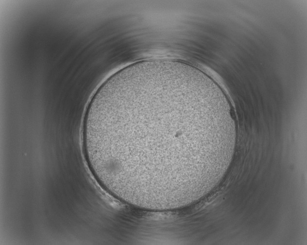 X0000071961195200608041611