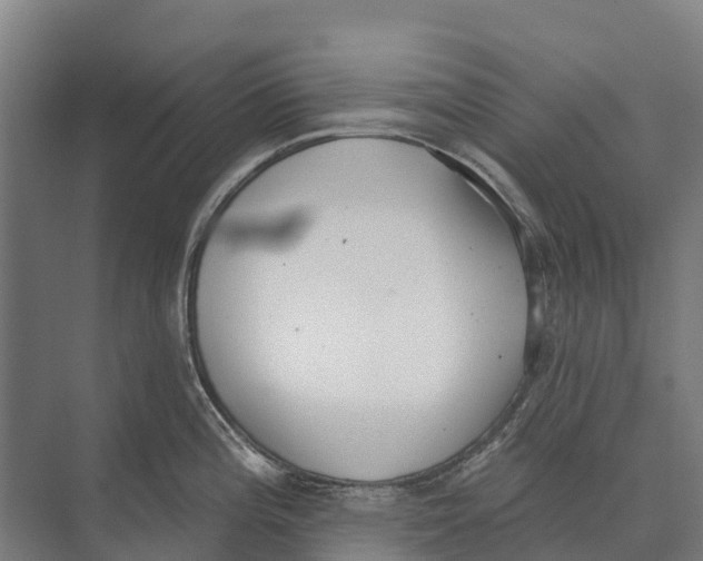 X0000071961196200608041611