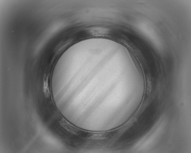 X0000071961198200608041611