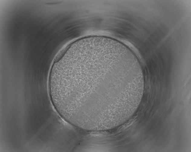 X0000071961199200608041611