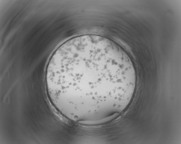 X0000071961200200608041611