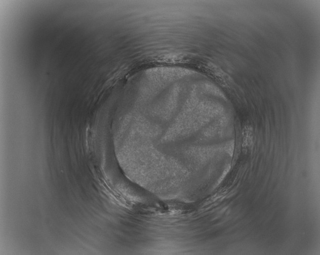 X0000071961202200608041610