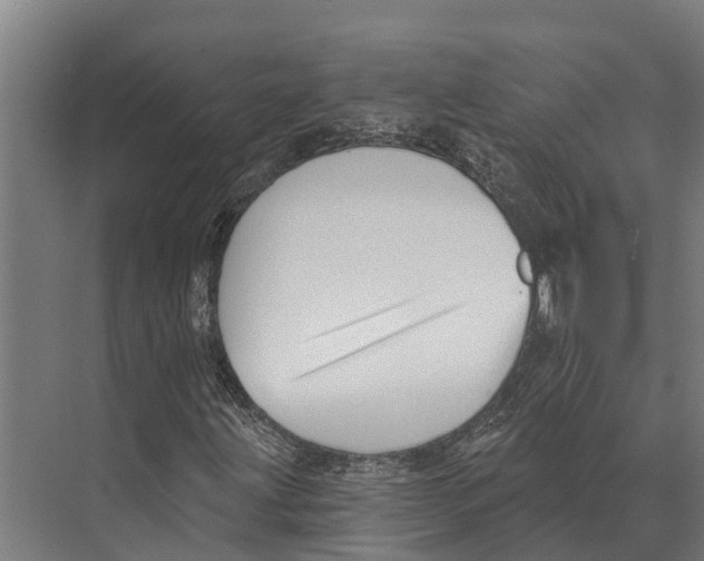 X0000071961203200608041610