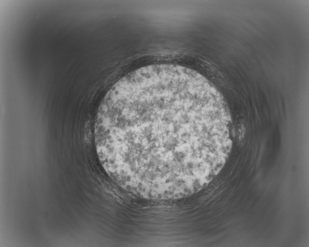 X0000071961204200608041610