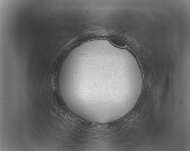 X0000071961205200608041610