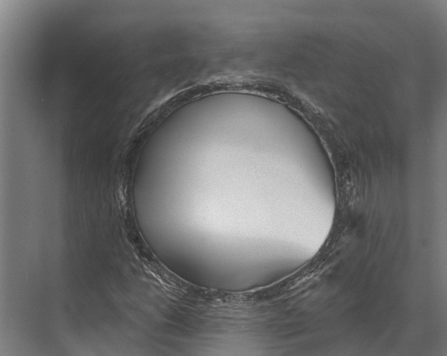 X0000071961206200608041610