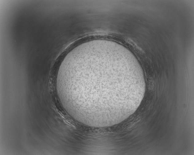 X0000071961208200608041610