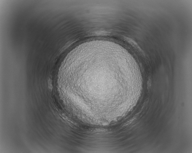 X0000071961209200608041610