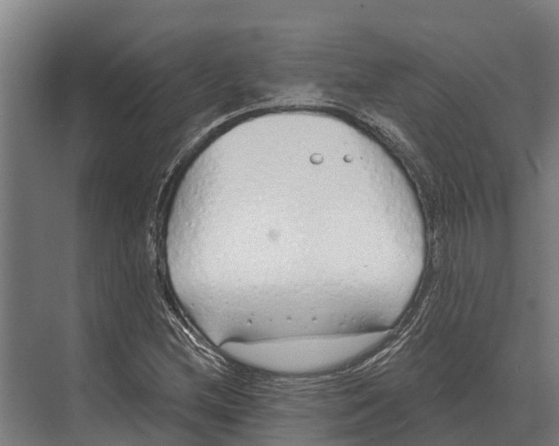 X0000071961212200608041610