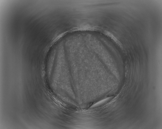 X0000071961213200608041610