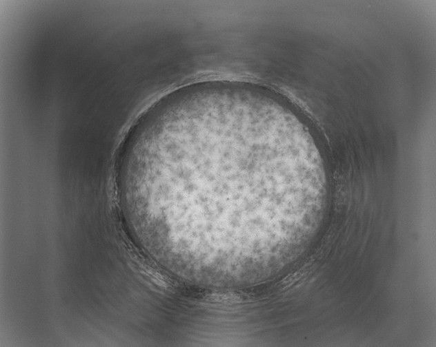 X0000071961215200608041610