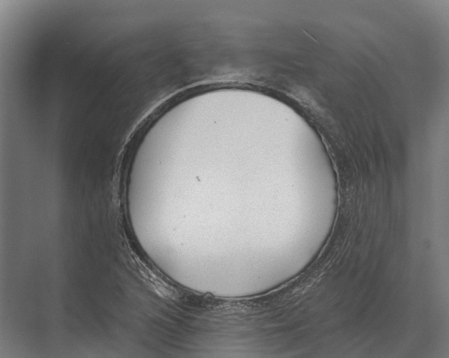 X0000071961216200608041610