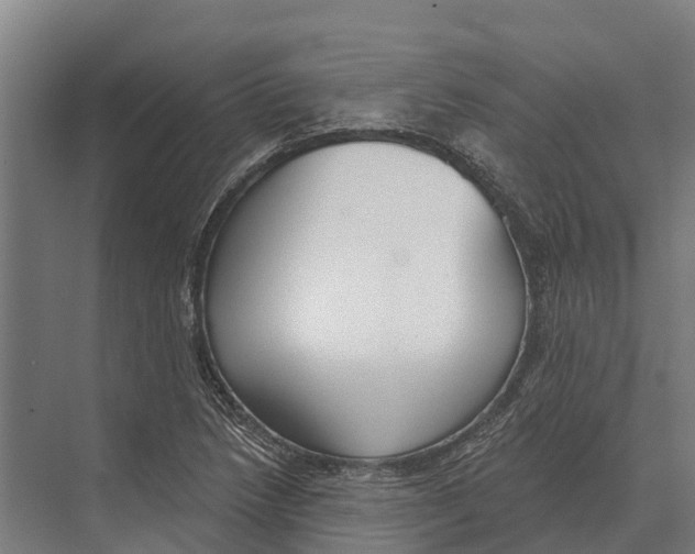 X0000071961218200608041610