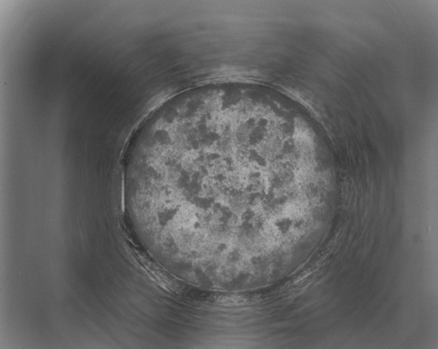 X0000071961219200608041610