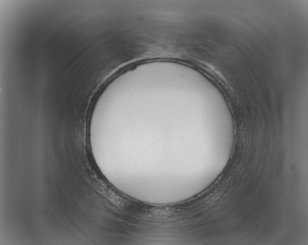 X0000071961220200608041610