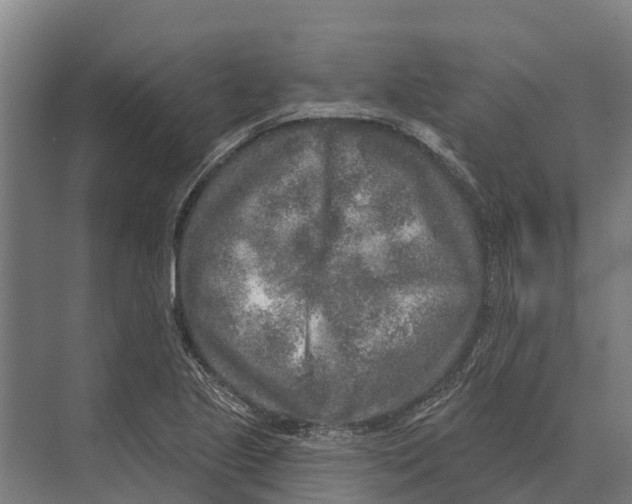 X0000071961221200608041610