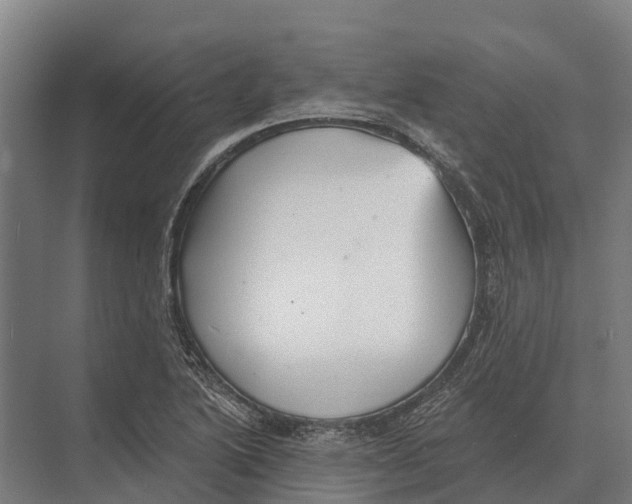 X0000071961222200608041610